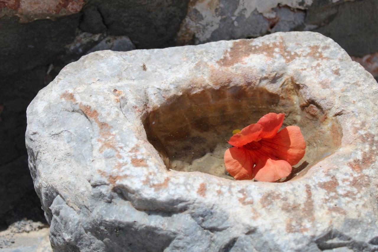 Melita Traditional Stone House Apartment Pyrgos Dirou Luaran gambar